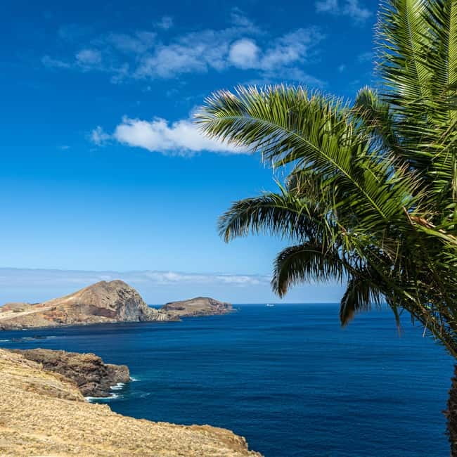 Madeira: PR8 -Ponta de São Lourenço Natural Reserve Transfer - Key things to know before booking