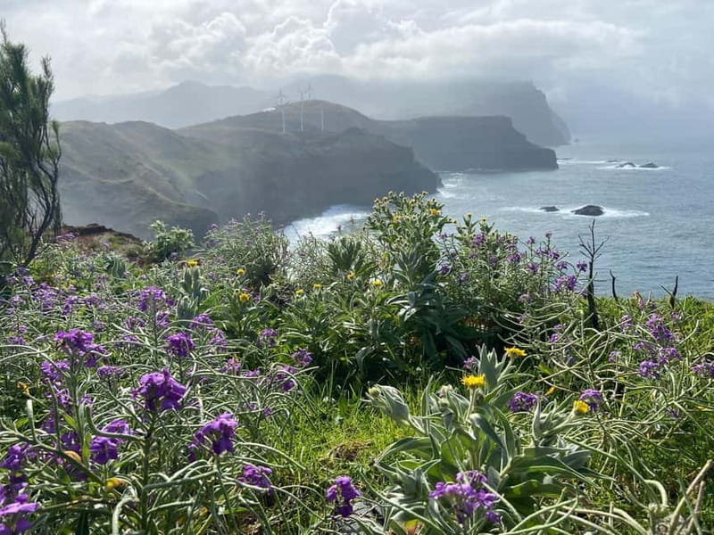 Madeira: PR8 -Ponta de São Lourenço Natural Reserve Transfer - Is $35 a fair price?