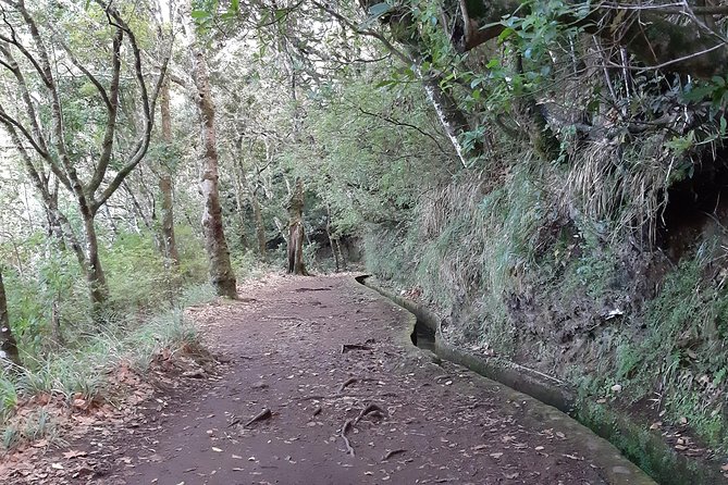Madeira: Private 1.5-Kilometer Levada dos Balcões Hike PR11 - Starting at Ribeiro Frio