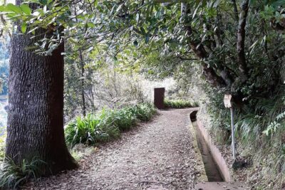 Private 1.5-Kilometer Levada dos Balcões Hike PR11