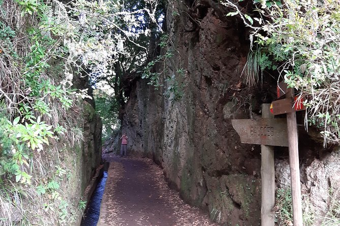 Madeira: Private 1.5-Kilometer Levada dos Balcões Hike PR11 - Pickup, Timing, and the $96.02 Price