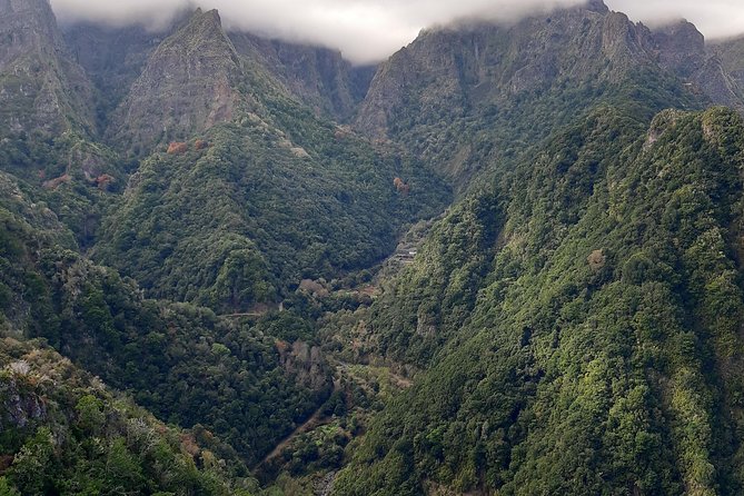 Madeira: Private 1.5-Kilometer Levada dos Balcões Hike PR11 - Is the PR11 Balcões Hike Worth Booking?