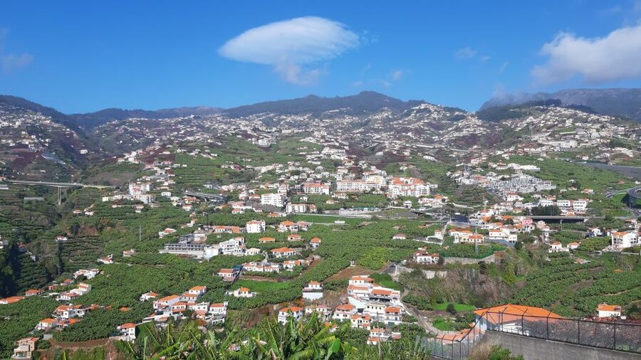 Madeira: Private Banana Farm Tour with Pickup - A simple 2.5-hour plan
