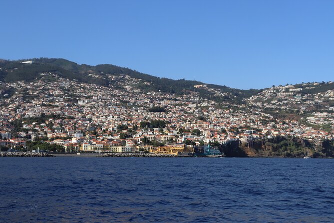 Madeira Private Boat Tour from Funchal - Swimming, snacks, and the limits of wildlife luck