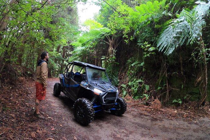 Madeira Private Buggy Adventure: Forest and Mountains - Why this buggy ride feels different from a standard Madeira tour