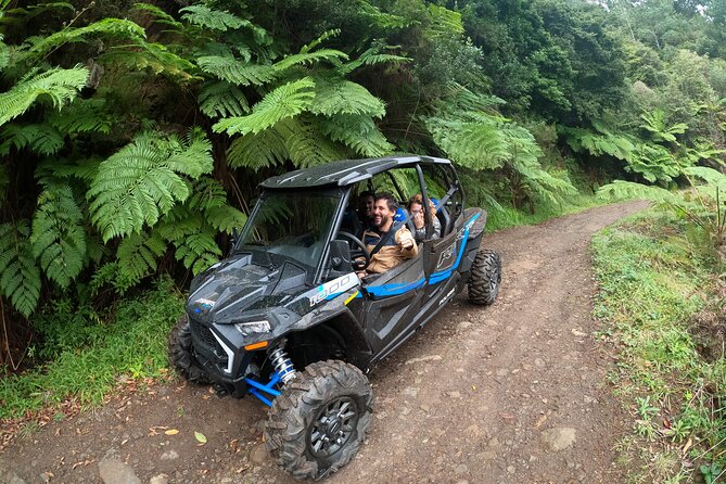 Madeira Private Buggy Adventure: Forest and Mountains - Laurissilva Forest and the mountain tracks