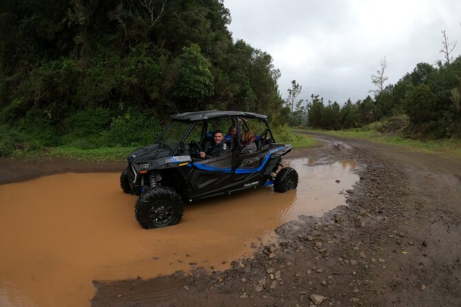 Madeira Private Buggy Adventure: Forest and Mountains - Roberto’s guiding style adds real value