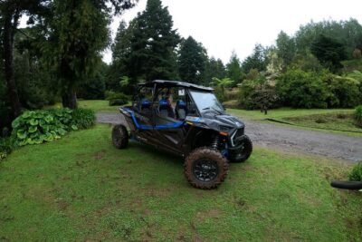 Madeira Private Buggy Adventure: Forest and Mountains