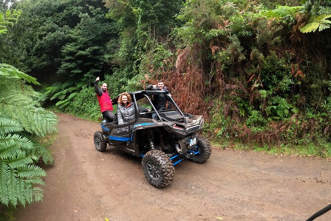 Madeira Private Buggy Adventure: Forest and Mountains - GoPro photos and videos are more useful than they sound