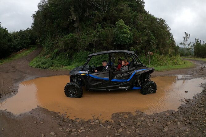 Madeira Private Buggy Adventure: Forest and Mountains - Is $111.02 a fair price?