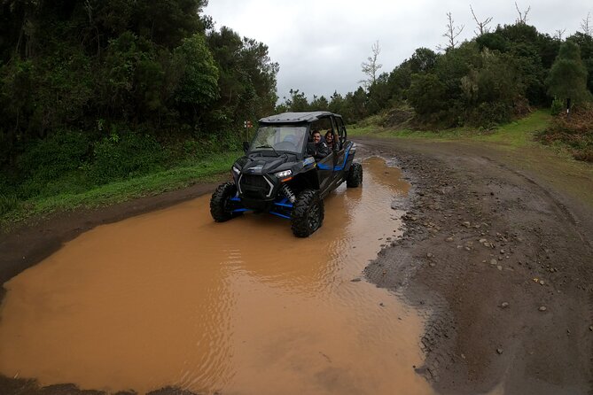 Madeira Private Buggy Adventure: Forest and Mountains - Who should book this experience?