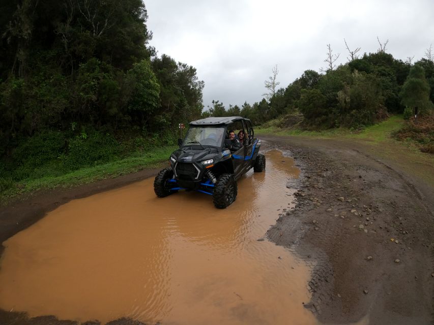 Madeira Private Buggy Adventure: Mountains and Forests - Key points to know
