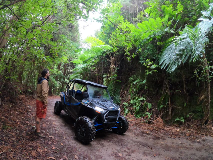 Madeira Private Buggy Adventure: Mountains and Forests - Who should book this Madeira adventure?