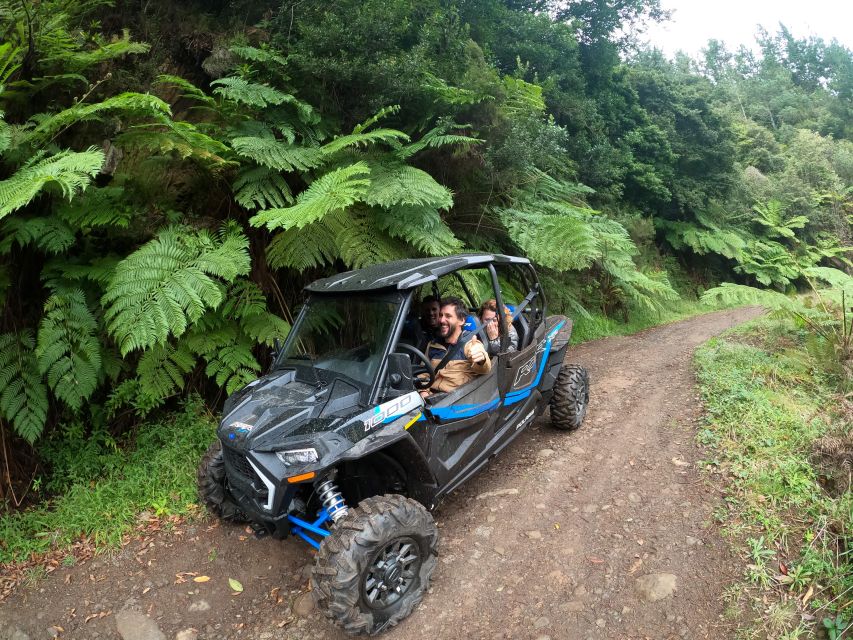 Madeira Private Buggy Adventure: Mountains and Forests - Pico Alto and Poiso: the first mountain views