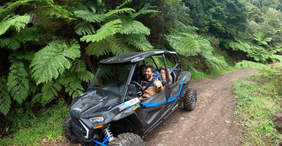 Madeira Private Buggy Adventure: Mountains and Forests - Pico do Suna and Lamaceiros Lagoon