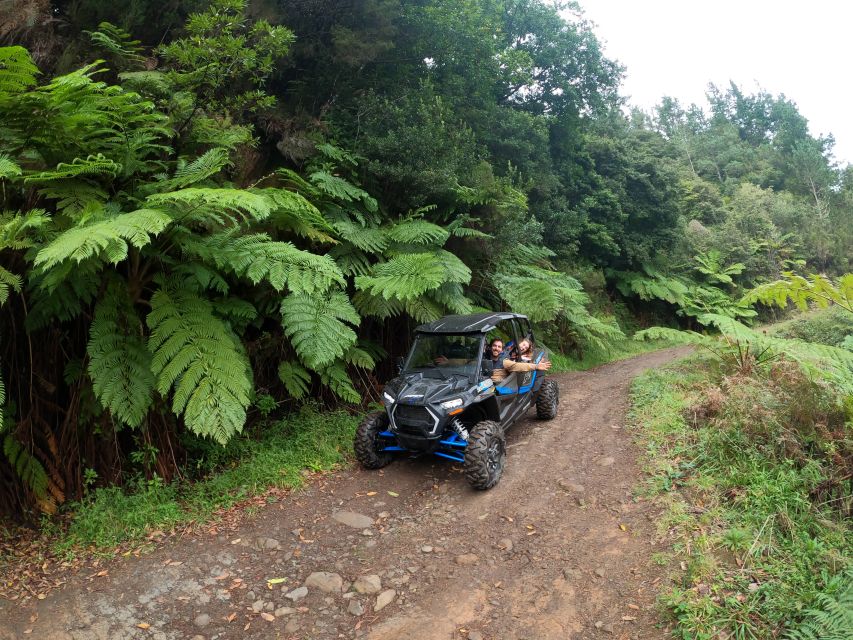 Madeira Private Buggy Adventure: Mountains and Forests - Portela Viewpoint and the Penha d’Águia view