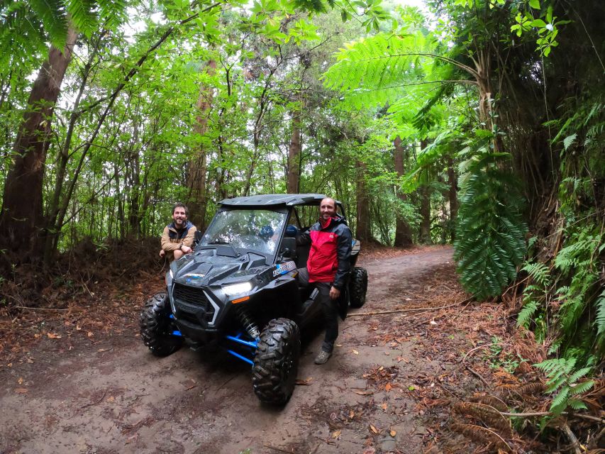 Madeira Private Buggy Adventure: Mountains and Forests - The Serra das Funduras forest road