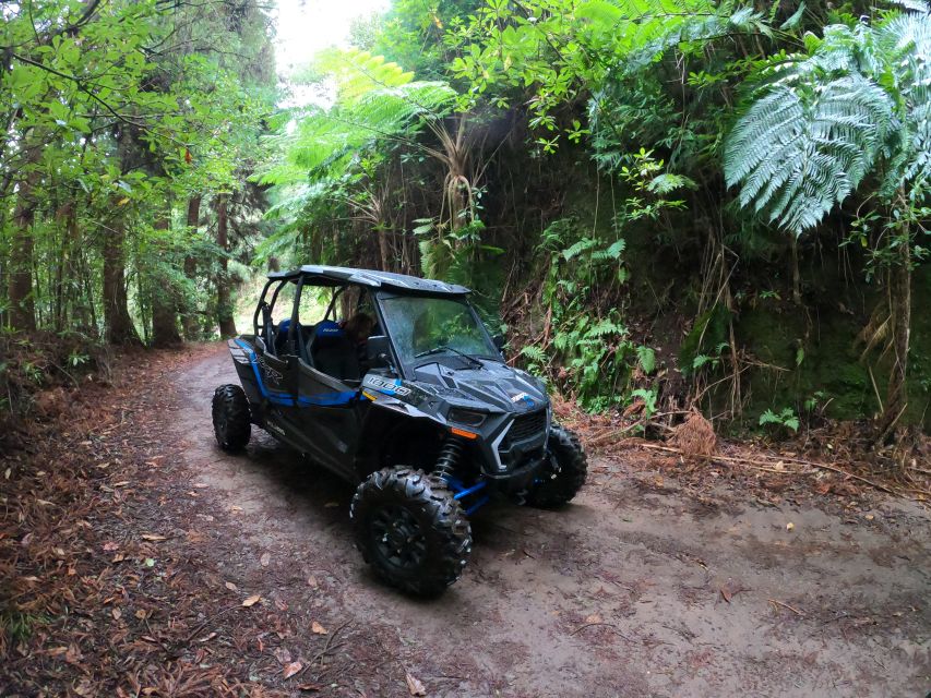 Madeira Private Buggy Adventure: Mountains and Forests - Returning through Santo da Serra