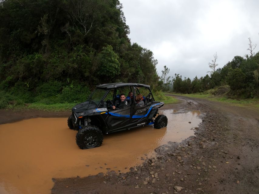Madeira Private Buggy Adventure: Mountains and Forests - Price, private value, and what is included