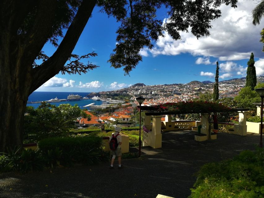 Madeira: Private Funchal City Tour in a Tukxi - Key points to know before booking
