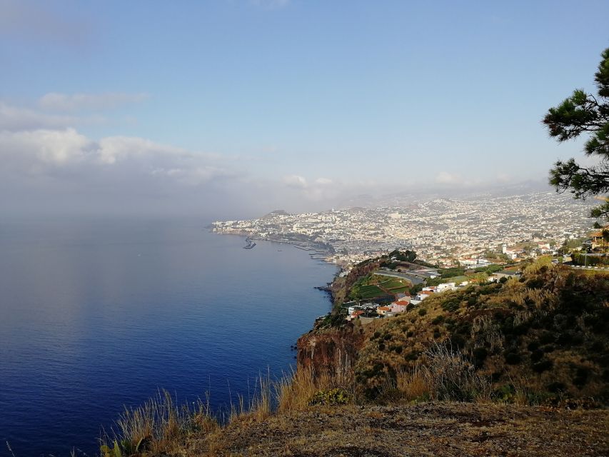 Madeira: Private Garajau Tour by Tukxi - Why this short Tukxi ride works in Madeira