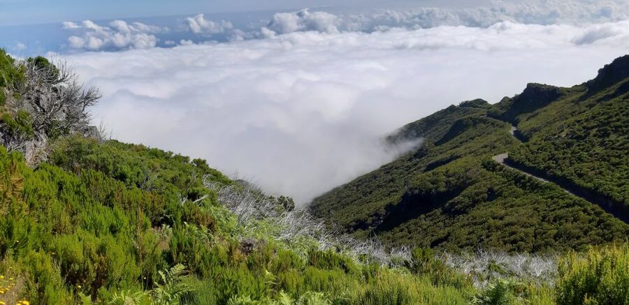 Madeira: Private Guided Achadas Teixeira - Pico Ruivo PR1.1 - Key points to know before booking