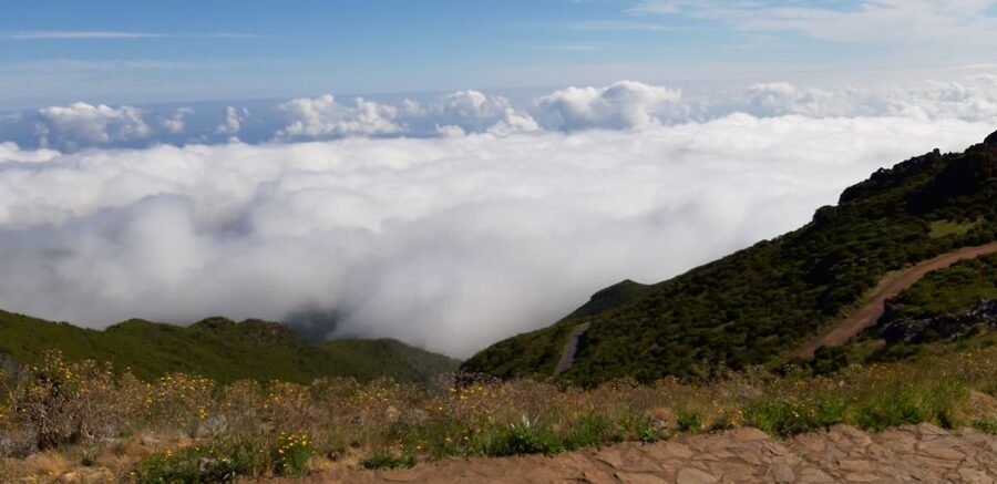 Madeira: Private Guided Achadas Teixeira - Pico Ruivo PR1.1 - Walking PR1.1 toward Madeira’s highest summit
