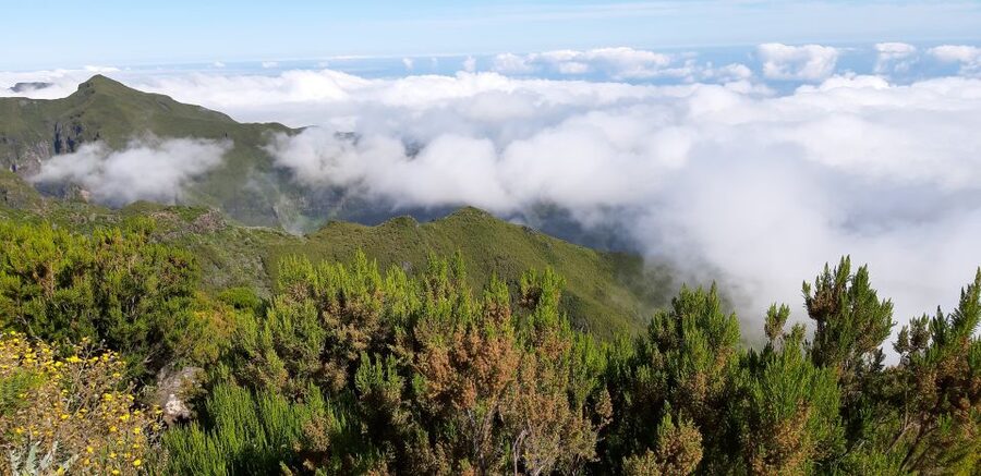Madeira: Private Guided Achadas Teixeira - Pico Ruivo PR1.1 - Reaching the Pico Ruivo area