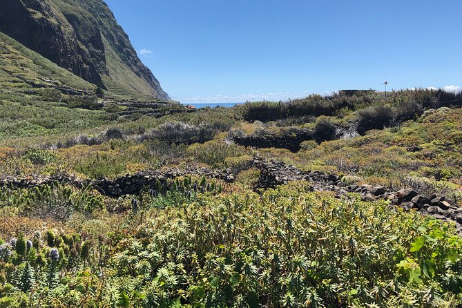 Madeira: Private Guided Half-Day Tour of Northwest Madeira - Chão da Ribeira brings you closer to the laurel forest