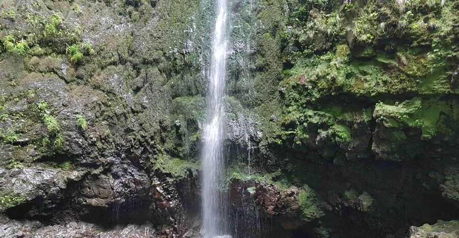 Madeira: Private Guided Levada Caldeirão Verde Walk PR9 - From Queimadas House into Madeira’s green heart