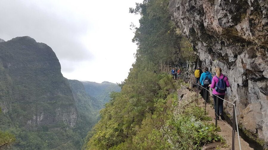 Madeira: Private Guided Levada Caldeirão Verde Walk PR9 - The levada path and views toward São Jorge