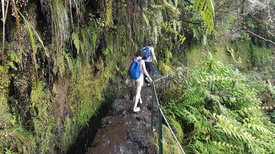Madeira: Private Guided Levada Caldeirão Verde Walk PR9 - The waterfall at Caldeirão Verde