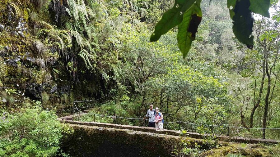 Madeira: Private Guided Levada Caldeirão Verde Walk PR9 - Is $117 a fair price?
