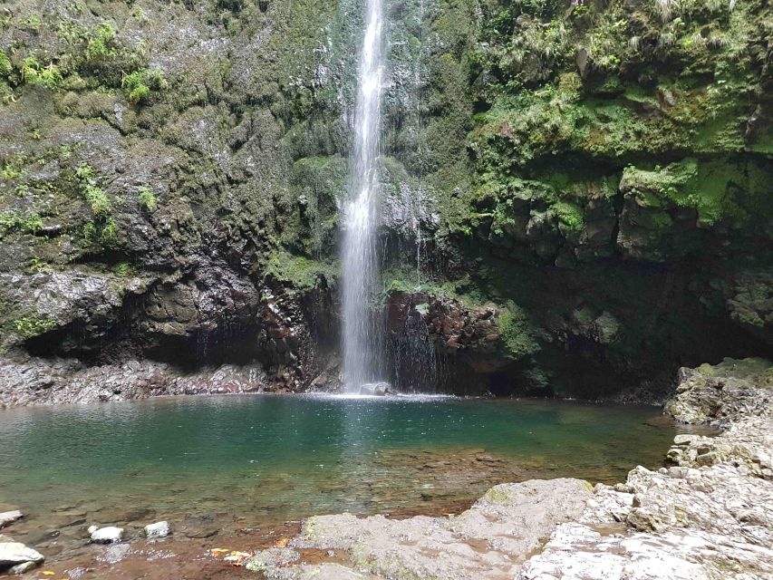 Madeira: Private Guided Levada Caldeirão Verde Walk PR9 - Four tunnels before Caldeirão Verde