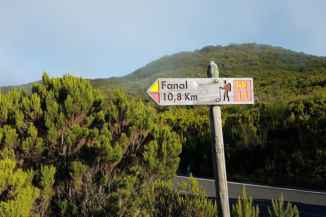 Madeira: Private Guided Walk Vereda Fanal PR13 - Key points to know before booking