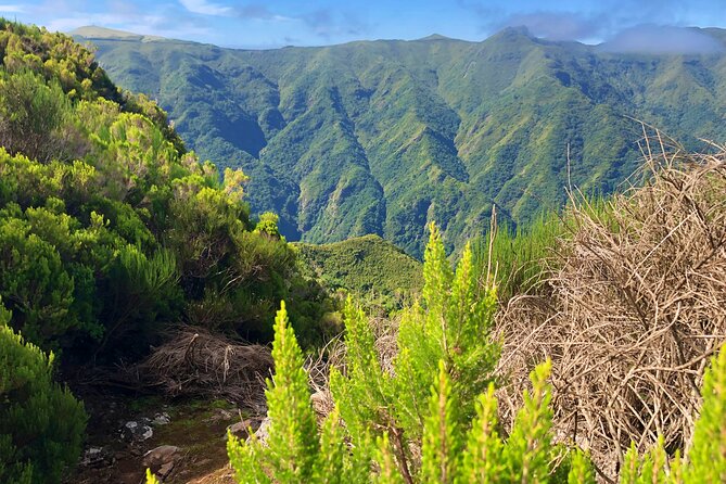Madeira: Private Guided Walk Vereda Fanal PR13 - The guide can shape the whole day