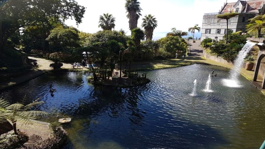 Madeira: Private Half-Day Guided Gardens Tour - Meeting Your Guide at Funchal Cruise Port