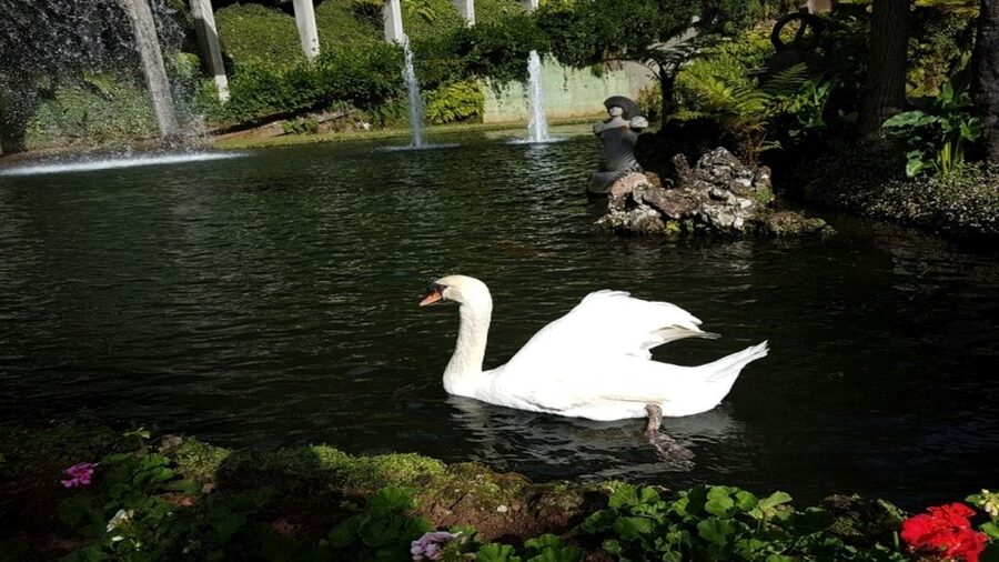 Madeira: Private Half-Day Guided Gardens Tour - The Mineral and Stone Collection Inside the Palace
