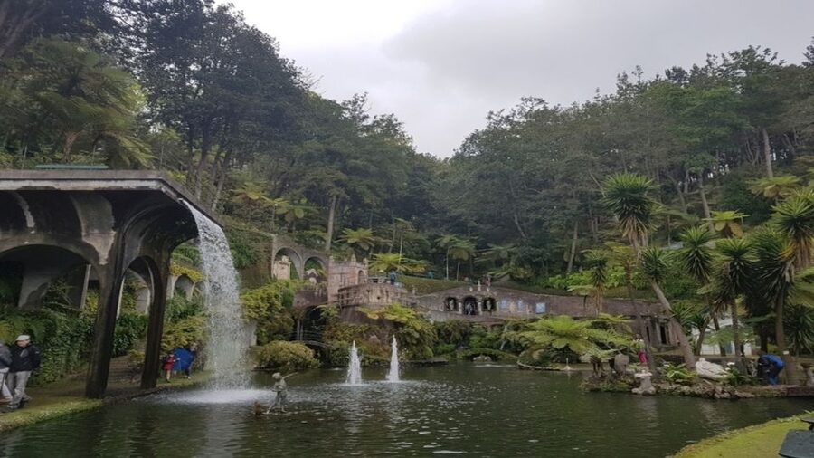 Madeira: Private Half-Day Guided Gardens Tour - What the Private Format Adds