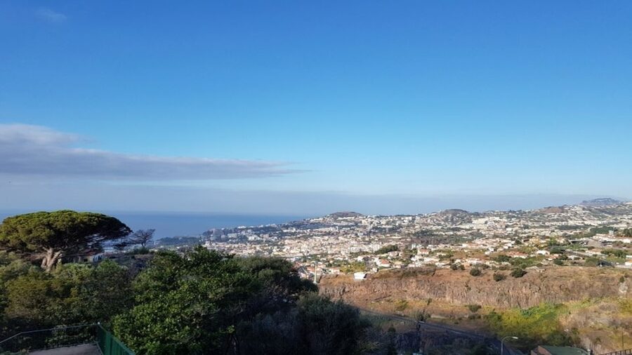 Madeira: Private Half-Day Guided Gardens Tour - Walking, Weather, and Who Should Book
