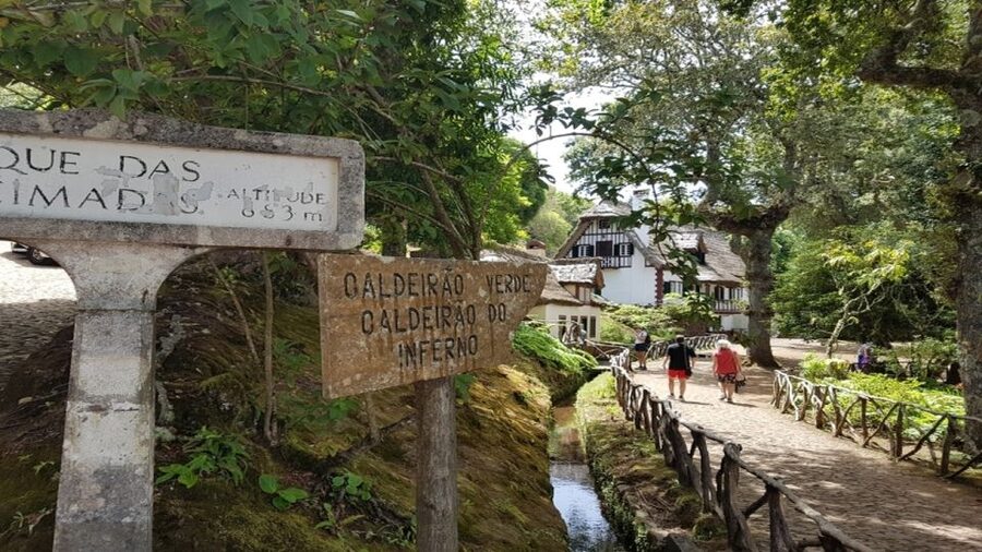 Madeira: Private Half-Day North East Island Tour - What the private guide adds