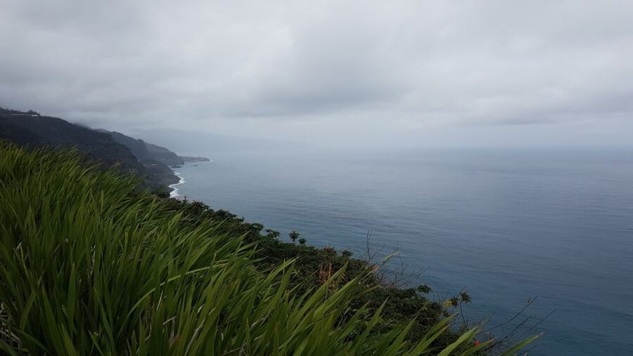 Madeira: Private Half-Day North East Island Tour - Weather, clothing, and access