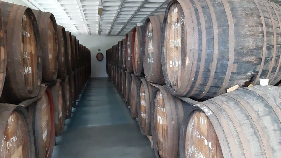 Madeira: Private Half-Day Wine Tasting Tour - Inside Henriques & Henriques