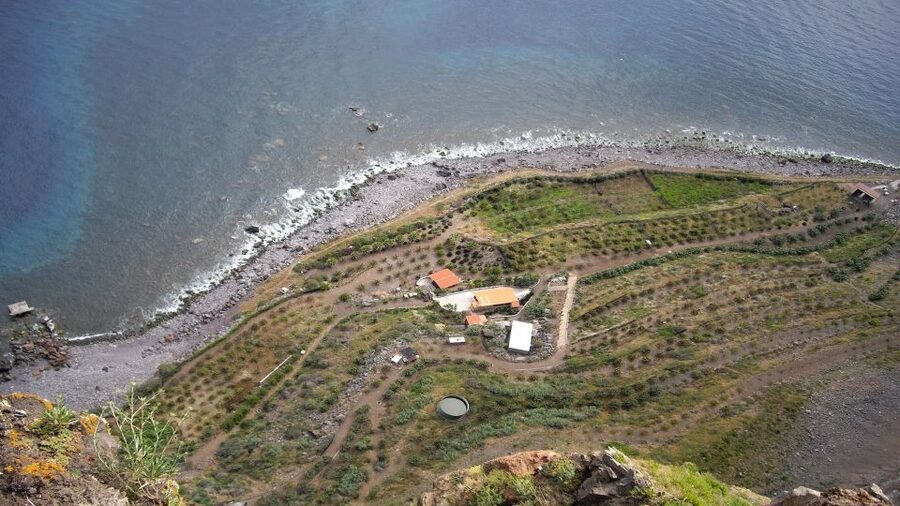 Madeira: Private Half-Day Wine Tasting Tour - What you taste, and what extra samples cost