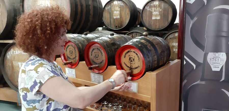Madeira: Private Half-Day Wine Tasting Tour - Who will enjoy this tour most?