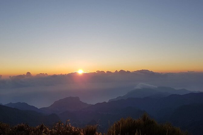 Madeira Private Jeep 4x4: Old Forest Full-Day Tour incl Pico Arieiro - What the private price means for your group