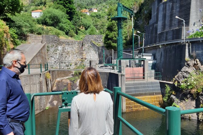 Madeira: Private Laurisilva Tour - A short walk through the Laurisilva Forest