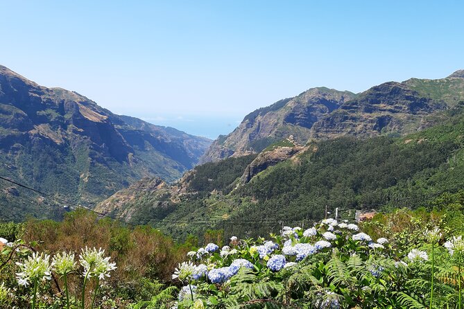 Madeira: Private Laurisilva Tour - What the private format changes