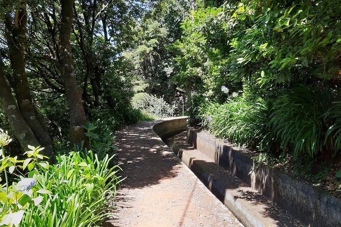 Madeira: Private Laurisilva Tour - Who will get the most from this tour