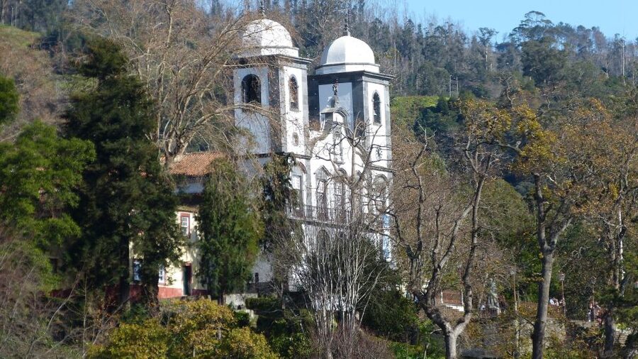 Madeira: Private Monte tour on a Tukxi - Timing, pickup, and cruise ship details